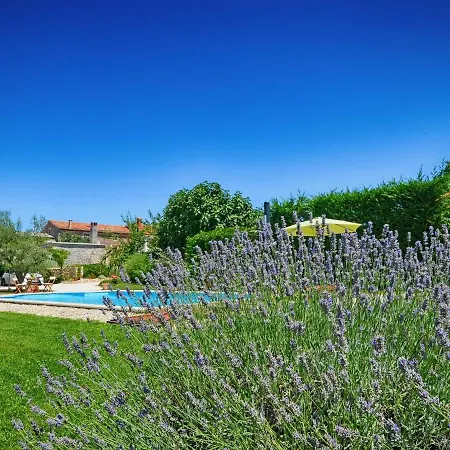 Benka, Istrian Stone House Villa Tinjan