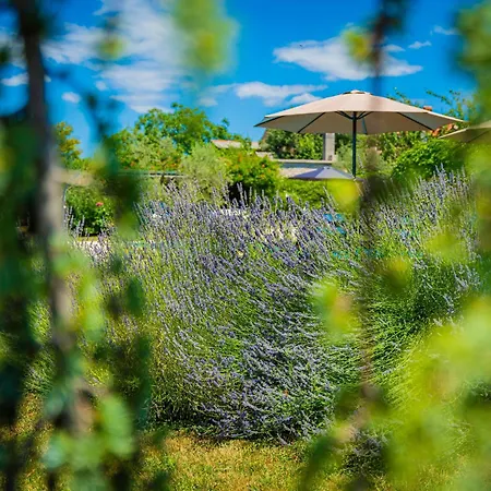Benka, Istrian Stone House *
