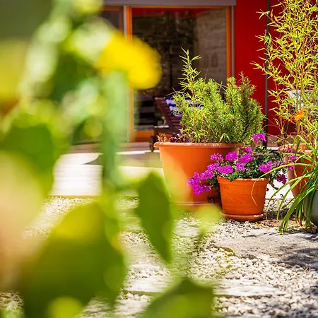 Benka, Istrian Stone House