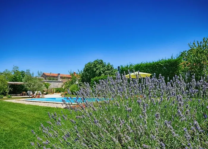 Benka, Istrian Stone House Villa Tinjan
