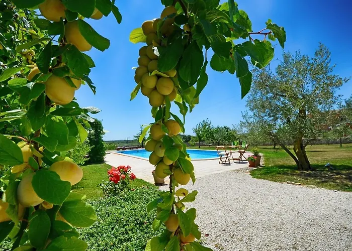 Villa Benka, Istrian Stone House *
